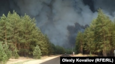 Від обстрілів на Донеччині загорілось близько 300 гектарів лісу – прокуратура
