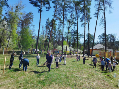 На Бучанщині діти висадили алею пам’яті (ФОТО)